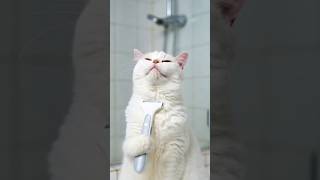 Fetița Și Băiețelul