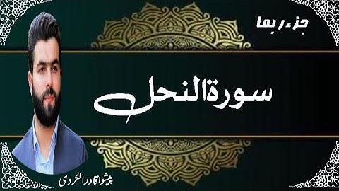 Surah Al-Nahl | سورۃ النحل  |Reciter| Peshawa Qadir al Kurdi @ALQURRANRAHBAR