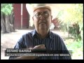 Documental Cero Labranza en Sinaloa