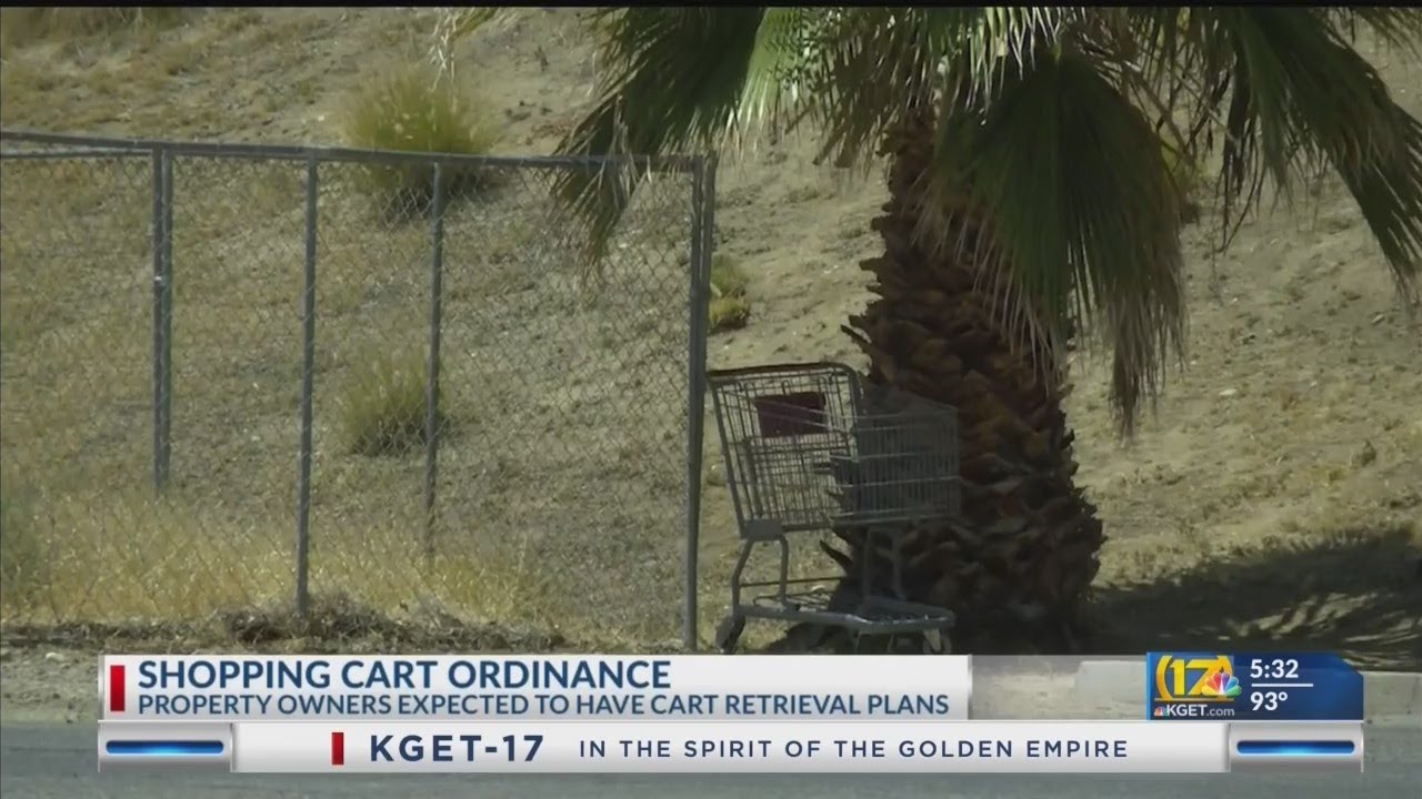 Shopping Cart Ordinance