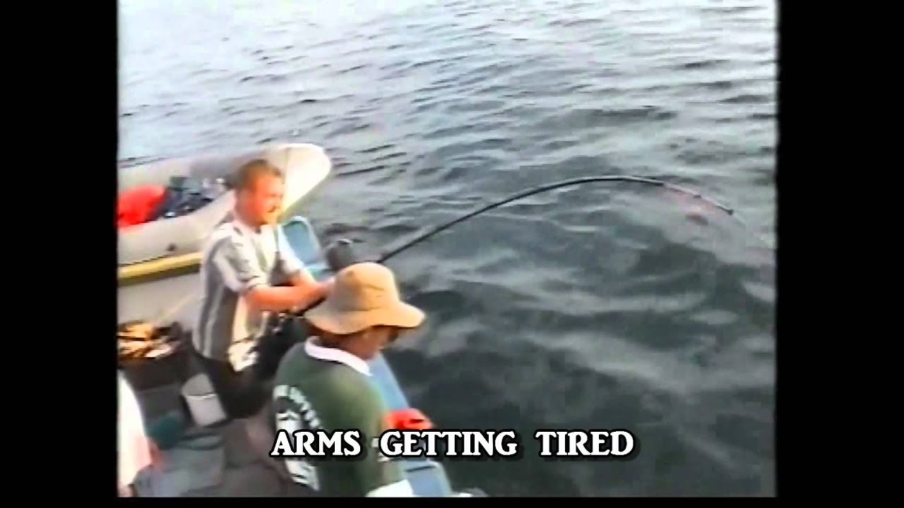 track deep blue shark track deep blue shark