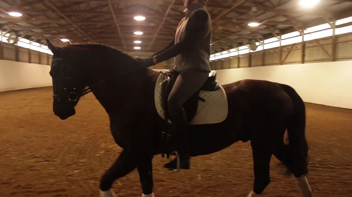Julia Hollenbeck - First Level Test 1