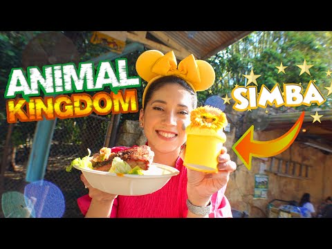 Video: Skillnaden Mellan Magic Kingdom Och Animal Kingdom