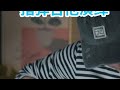 《直到世界的尽头》指弹吉他演绎 5星难度指弹吉他曲集专栏第12首，完整曲集教学🔍苏新程吉他#抖音特效达人中心  #指弹吉他  #指弹改编 #指弹吉他谱  #指弹入门 吉他教学 抖音创作小助手 抖音