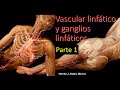 Sistema vascular linfático y ganglios linfáticos. Parte 1 de 2. Hernán Aldana