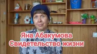 видео:  картинка: