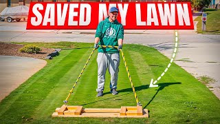 How Dormant Seeding Saved my Lawn! 🏡 Stop Using Phosphorus (Unless You Really Need It)