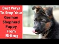 Effective Ways to Manage and Stop German Shepherd Puppy Biting Behavior