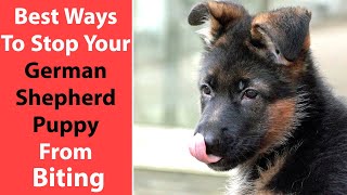 at what age do german shepherd puppies stop biting