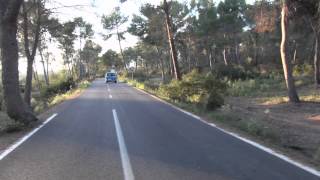 Cinestar Octocopter Crash Into Tree