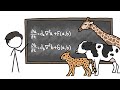 Can math explain how animals get their patterns