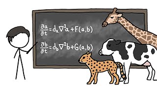 Может ли Математика Объяснить, Как Животные Получают Свои Узоры?