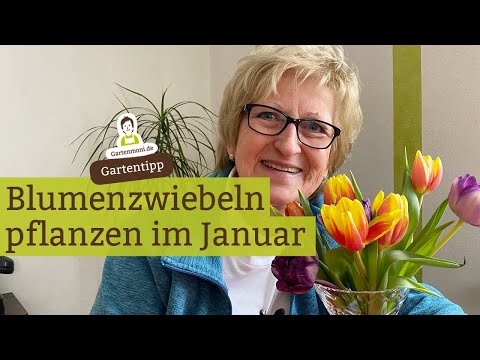 Video: Setzlinge, Welche Blumen Im Januar Gepflanzt Werden Sollen