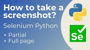 Take a Screenshot in Selenium Python