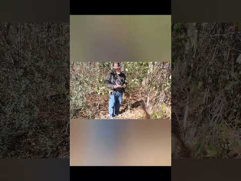 Mississippi Jim