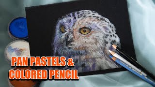 Create a stunning snowy owl with PanPastel & colored pencils by Lachri Fine Art 2,532 views 5 months ago 40 minutes