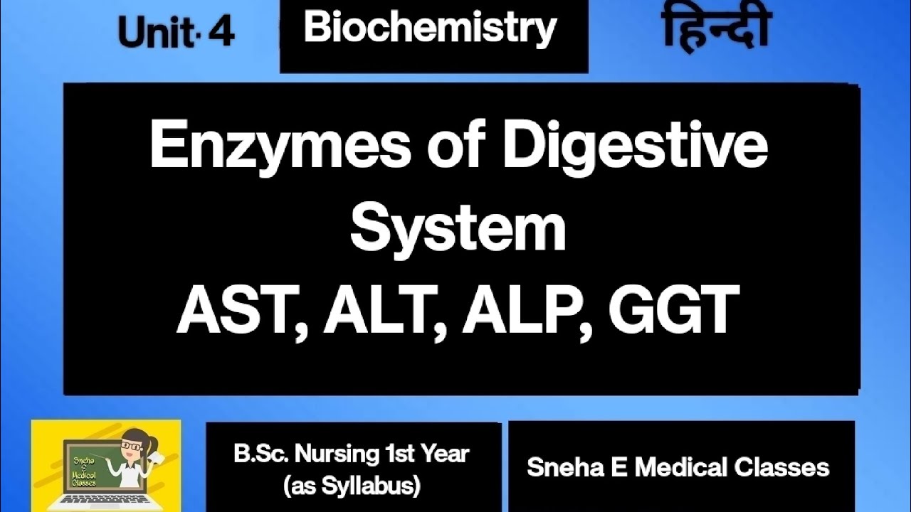 Enzymes of Digestive System!! AST, ALT, ALP, GGT !! - YouTube
