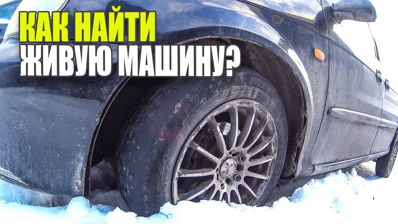 Дрова стоимость за машину