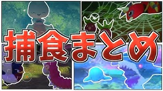 Newポケモンスナップ Youtube