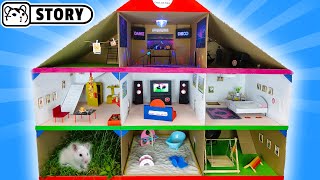 Giant cardboard hamster house 🐹 Syrian hamsters in 3-Level playground 🐹 Homura Ham