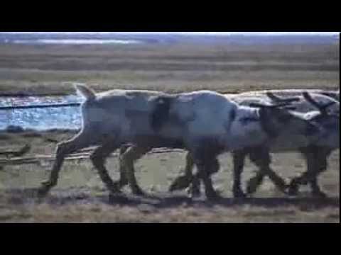 Кадры из фильма На пределе