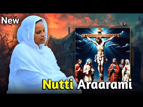 Faaruu Haaraa Nutti Araaraami Faarfattuu Kumashii Nagaasaa Faaruu Gabbii