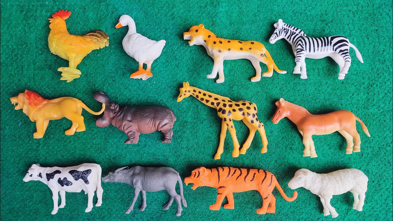 Animals cows, chickens, ducks, geese, horses, zebras, tigers, lions, sheep, giraffes, hippos