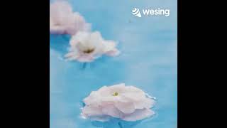 This Video Is From Wesing