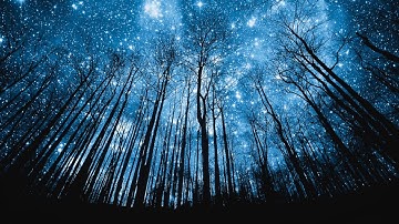 Tolerance - Dejection