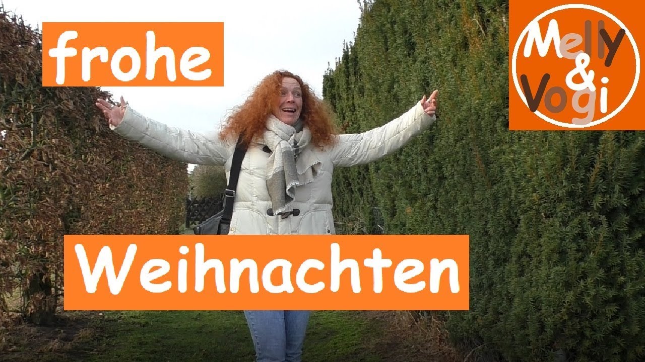 Weihnachten 2022 Auf Dem Campingplatz Weihnachten auf dem Campingplatz YouTube