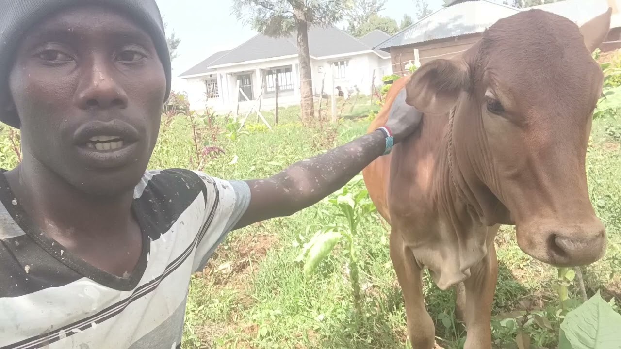 I HAVE STRUGGLED ALOT 