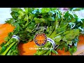 Qué Hacer y Qué NO Hacer Para Conservar Fresco El Cilantro