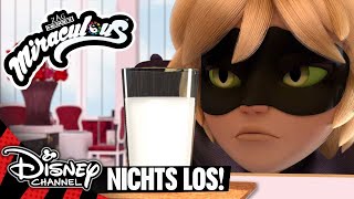 Gähnende Langeweile! | Miraculous 🐞🐱