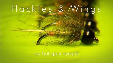 Fly Tying UV Hot Spot Nymph | Hackles & Wings