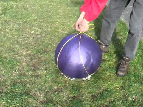 Treiball (yoga ball) carrier 