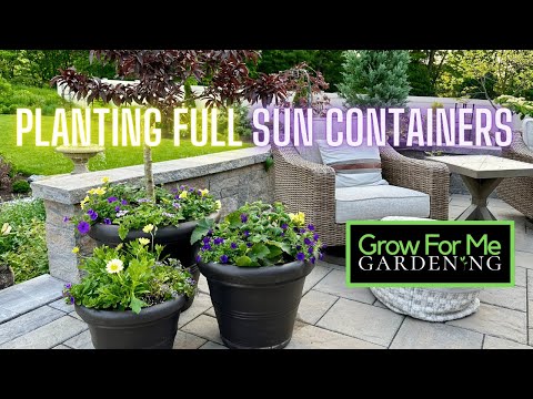 Planting Full Sun Containers with Proven Winners Annuals ⭐️ Can You Guess Our Color Theme?