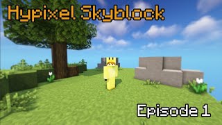 A New Beginning - Hypixel Skyblock Ep.1