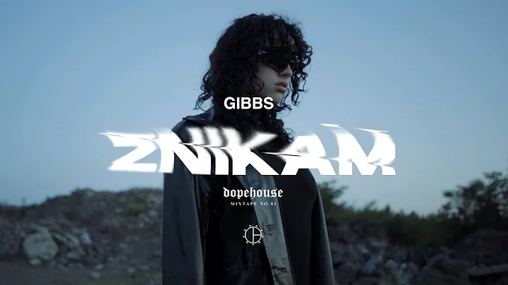 Gibbs - Znikam