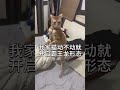你别动不动就开启霸王龙形态呀...
