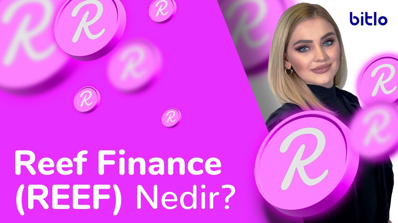 Reef Coin Nedir REEF Coin Ve Reef Projesi Ile lgili Bilmeniz reef-coin-nedir-reef-coin-ve-reef-projesi-ile-lgili-bilmeniz