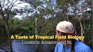 Amazon Exploration