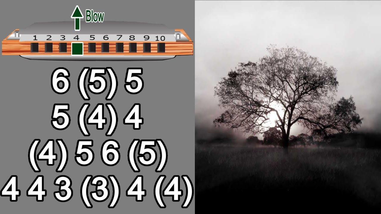 YOU ARE MY SUNSHINE HARMONICA DIATONIC C, ANIMATED TUTORIAL, BLUES HARP