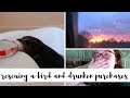 Rescuing a Bird and Making Drunken Purchases - Vlog // emmanovella
