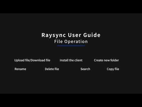 Raysync User Guide - File Operation