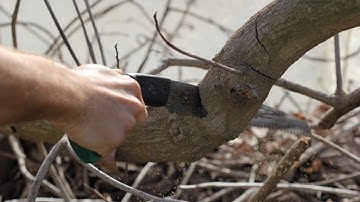 The best hand saw - Review cưa gỗ cầm tay 350mm Barker