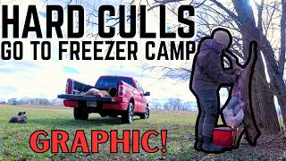 The HARDEST Day To Feed My Family!  HARD CULLING Members Of Our Dairy Goat Herd!