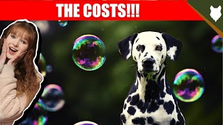 COST OF OWNING DALMATIAN