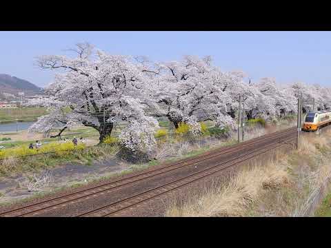 臨時快速 船岡～大河原 E653系U101編成