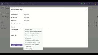 Payble Aging Report Odoo screenshot 3