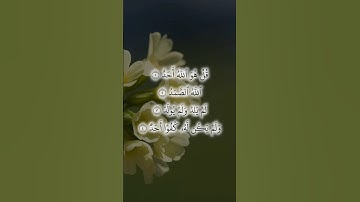 Thumbnail of Sura Al Ikhlas By Sheikh Saad Al Ghamidi